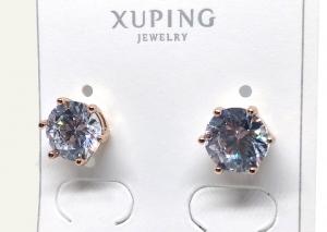 №10314 Сережки XuPing